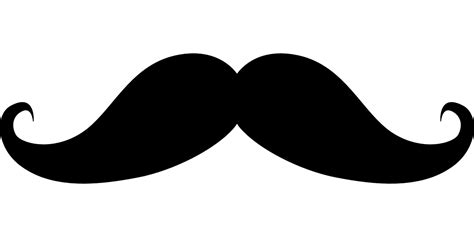 Moustache Handlebar Mustache Free Vector Graphic On Pixabay
