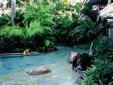 Images of Tropical Swimming Pool Landscaping Ideas