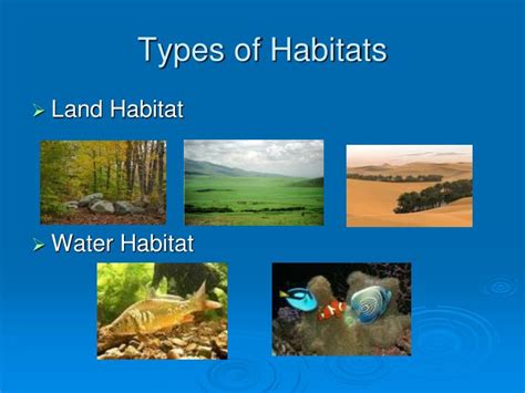 Ppt Interactions Among Living Things Powerpoint Presentation Id396336