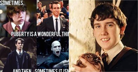 Harry Potter 10 Memes That Prove Neville Was The Funniest Character