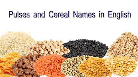 Pulses And Cereal Names In English Cereal And Pulses Names Vocabulary