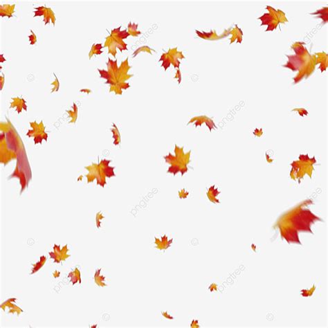 Maple Leaves Falling Png Image Maple Leaves Falling Maple Autumn
