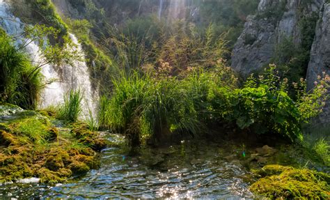 Croatia Parks Waterfalls Grass Moss Plitvice National Park Nature