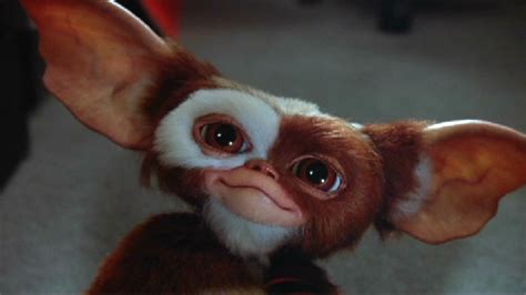 Gremlins Secrets Of The Mogwai Officially Ordered To Series