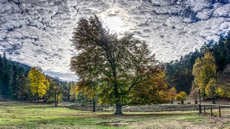 Photos Hdr Autumn Nature Forest Trees Clouds 1920x1080