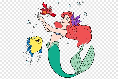 Disney Ariel Flounder And Sebastian Illustration Ariel The Little