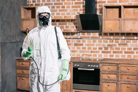 Pest Prevention Pest Control Exterminator Find Out Who Is The Best