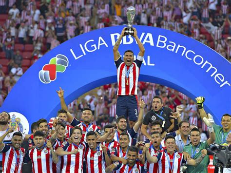 Chivas Campeón Del Clausura 2017 Estadio Deportes