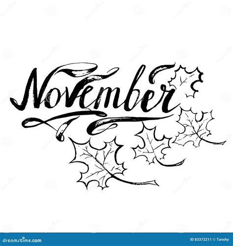 November Vector Months Lettering Stock Vector Illustration Of Brush