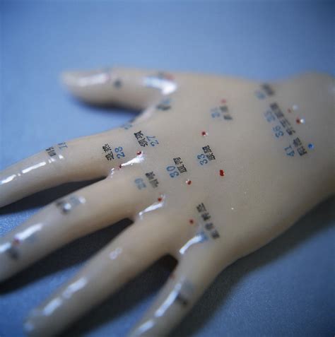 Acupuncture Model Photograph By Cristina Pedrazzini Pixels