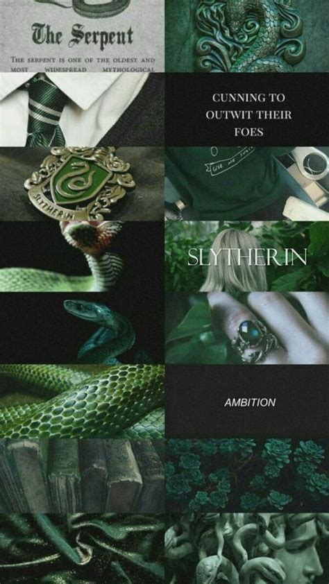 Slytherin Aesthetic Harry Potter Case Magical World Of Harry Potter