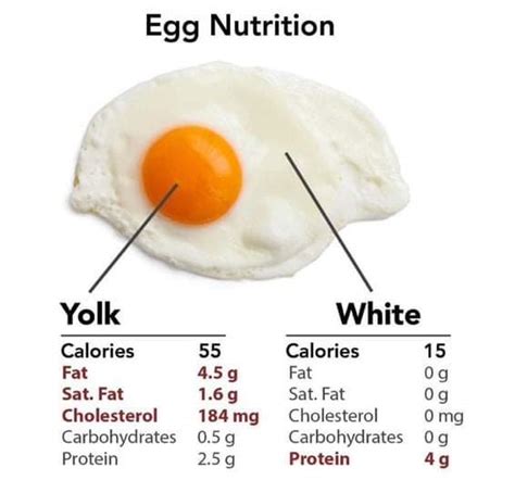 Egg White And Yolk Nutrition Differences Food And Health Pitribe