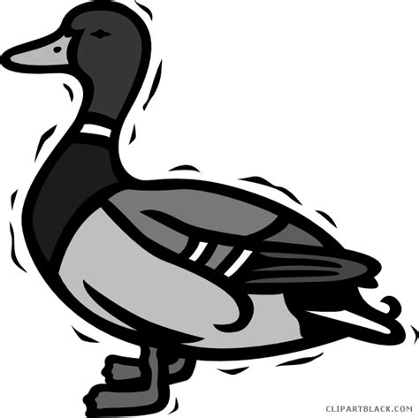 Duck Animal Free Black White Clipart Images Clipartblack Itik Clipart
