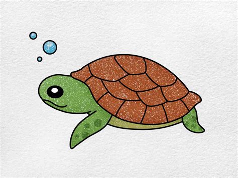 How To Draw A Baby Turtle Helloartsy