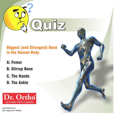 Strongest Bone In Human Body