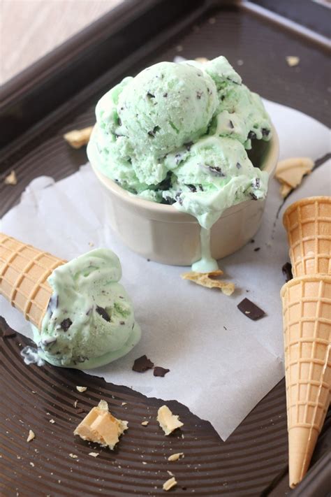 Which ice cream flavours are you craving this summer? No Churn Mint Chocolate Chip Ice Cream - Chocolate With Grace