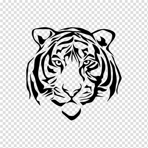 White tiger Drawing Sketch, tiger transparent background PNG clipart