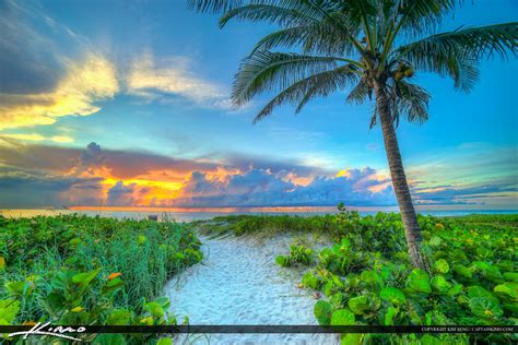 Delray Beach Florida Sunrise At Beach With Coconut Tree Hdr
