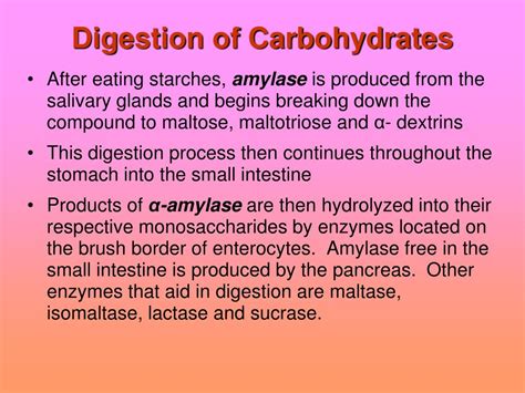 Ppt Ns 315 Unit 3 Carbohydrate Digestion And Absorption Powerpoint