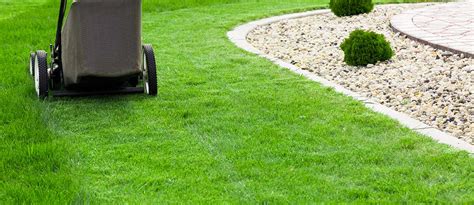 Lawn Care Top Tips Lawn Maintenance Lawn Health