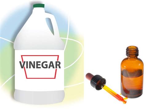 As a natural material, wood is vulnerable to the effects of aging the manufacturing procedure for furniture polish varies depending on the type of product being made. Vinegar & iodine as wood furniture polish - Northern ...