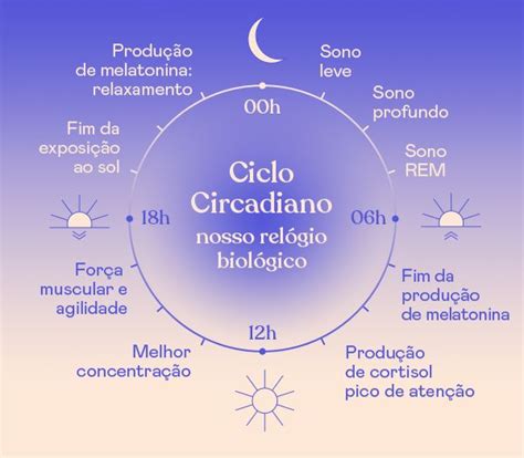 Ciclo Circadiano Circadiano