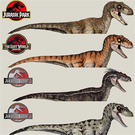 Noah Meskimen No Instagram “jurassic Favorites Velociraptor