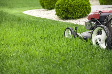 When Should I Start Mowing The Lawn In Spring