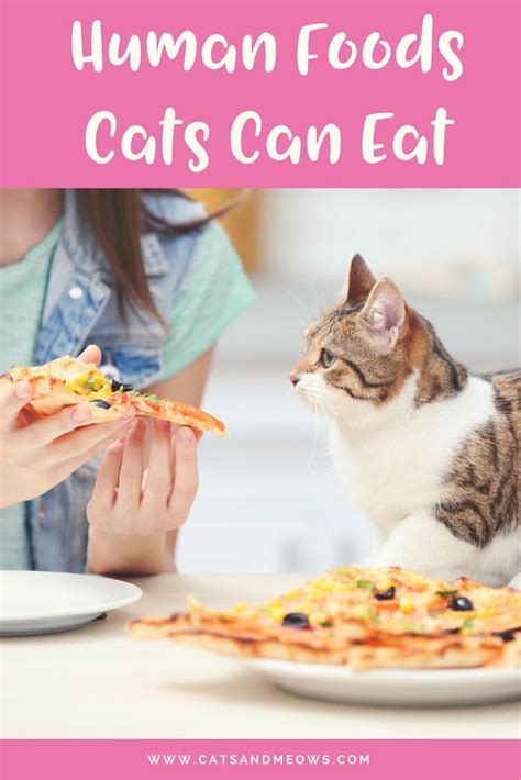 It May Surprise You To Find That Cats Dont Always Have To Eat