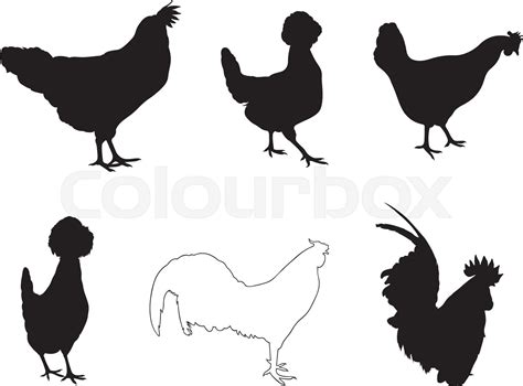 Set Of Different Hens And Roosters Stock Vector Colourbox