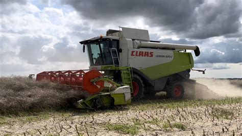 Moisson de colza après la pluie Claas Lexion 570C campagne 2023