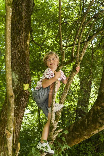 Little Boy Climbing On A Tree In The Forest — Blond People Stock