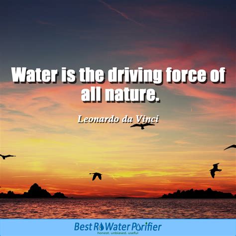 Water Quotes And Sayings Best Quotes About Importance Of Water