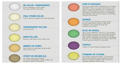 What does it mean when your urine has no color - The Meaning Of Color