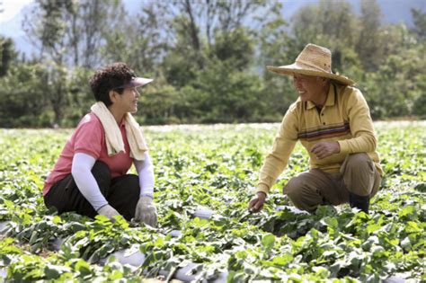 South Korean Agriculture Takes The Organic Route