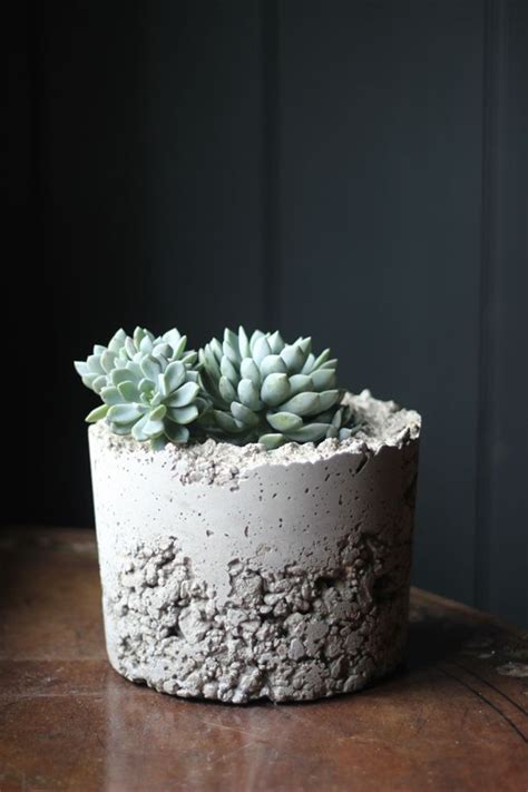 Diy Concrete Planters Decorators Notebook