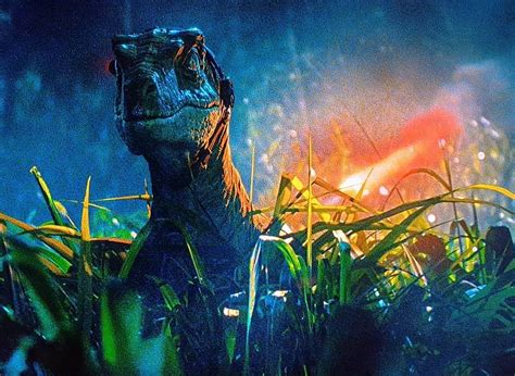 Pin By Bridgette Williams On Chris Pratt In 2023 Jurassic Park World Jurassic Park Movie