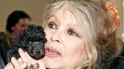 Brigitte Bardot Au Plus Mal Et Terriblement Seule Son Témoignage Bouleversant