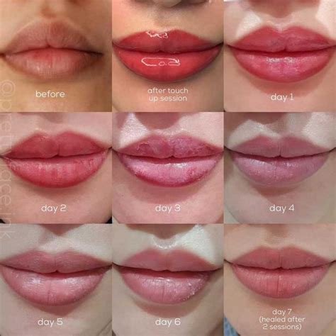 Lip Blush Healing Process Day By Day Timeline And Stages