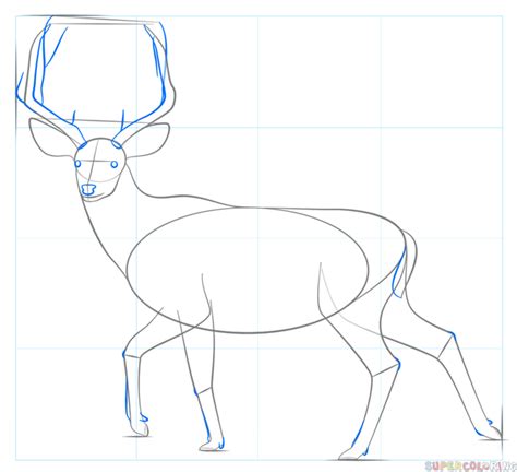 How To Draw A Deer Step By Step Lavon Maples