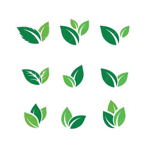 Premium Vector Set Of Green Leaf Logo Design Inspiration Vector Icons