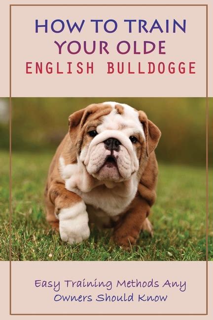 Is English Bulldogge Easy To Train