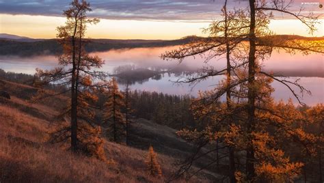 Lake Trees Fog Viewes Clouds Mountains Autumn Grass For