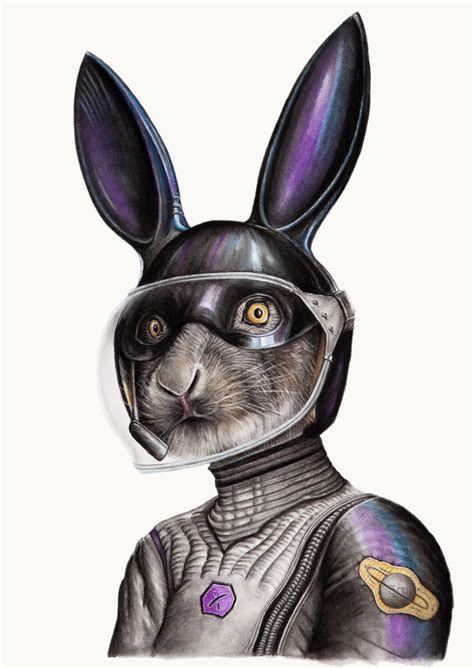 Space Rabbit Animales En El Espacio Ilustraciones Animales