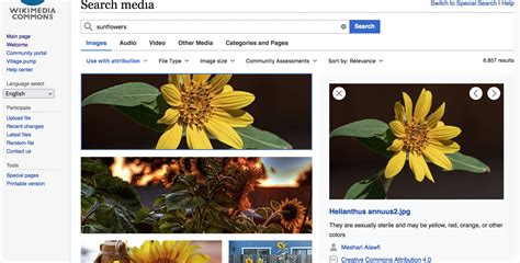 Finding Images On Wikimedia Commons Finding And Using Openly Licensed