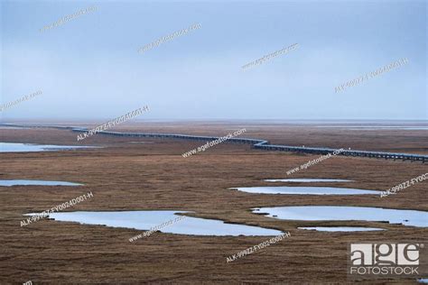 Aerial View Of The Trans Alaska Pipeline Crossing The Tundra Of The