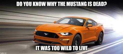 Ford Mustang Memes Imgflip