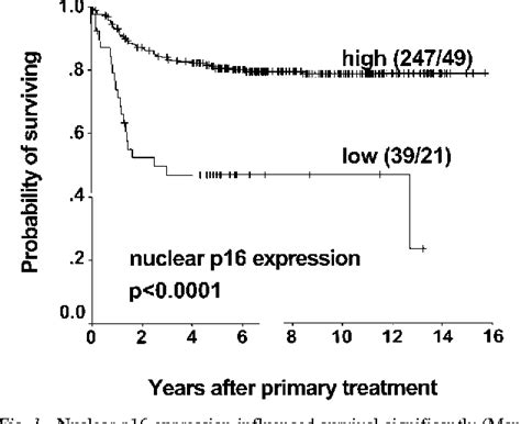 Figure 1 From Loss Of Nuclear P16 Protein Expression Is Not Associated