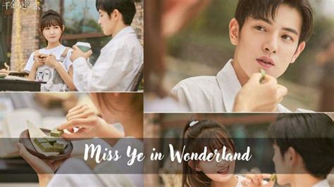 Sinopsis Dan Link Nonton Drama China Miss Ye In Wonderland Sub Indo