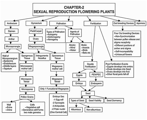 Class 12th Biology Chapter 2 Sexual Reproduction In Flowering Plants